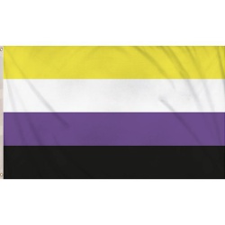 Non-Binary Pride Flag
