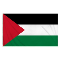 Palestine Flag