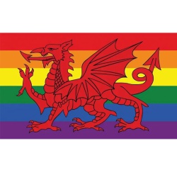 Rainbow Welsh Flag