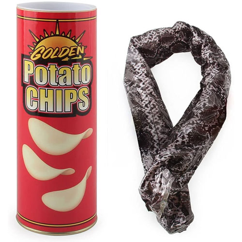 Potato Chips Snake Cone